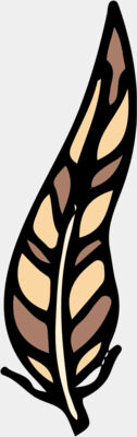 Autumn Fall Feather 3